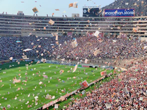 Crowd cheering enthusiastically with colorful banners and sponsor logos in the background