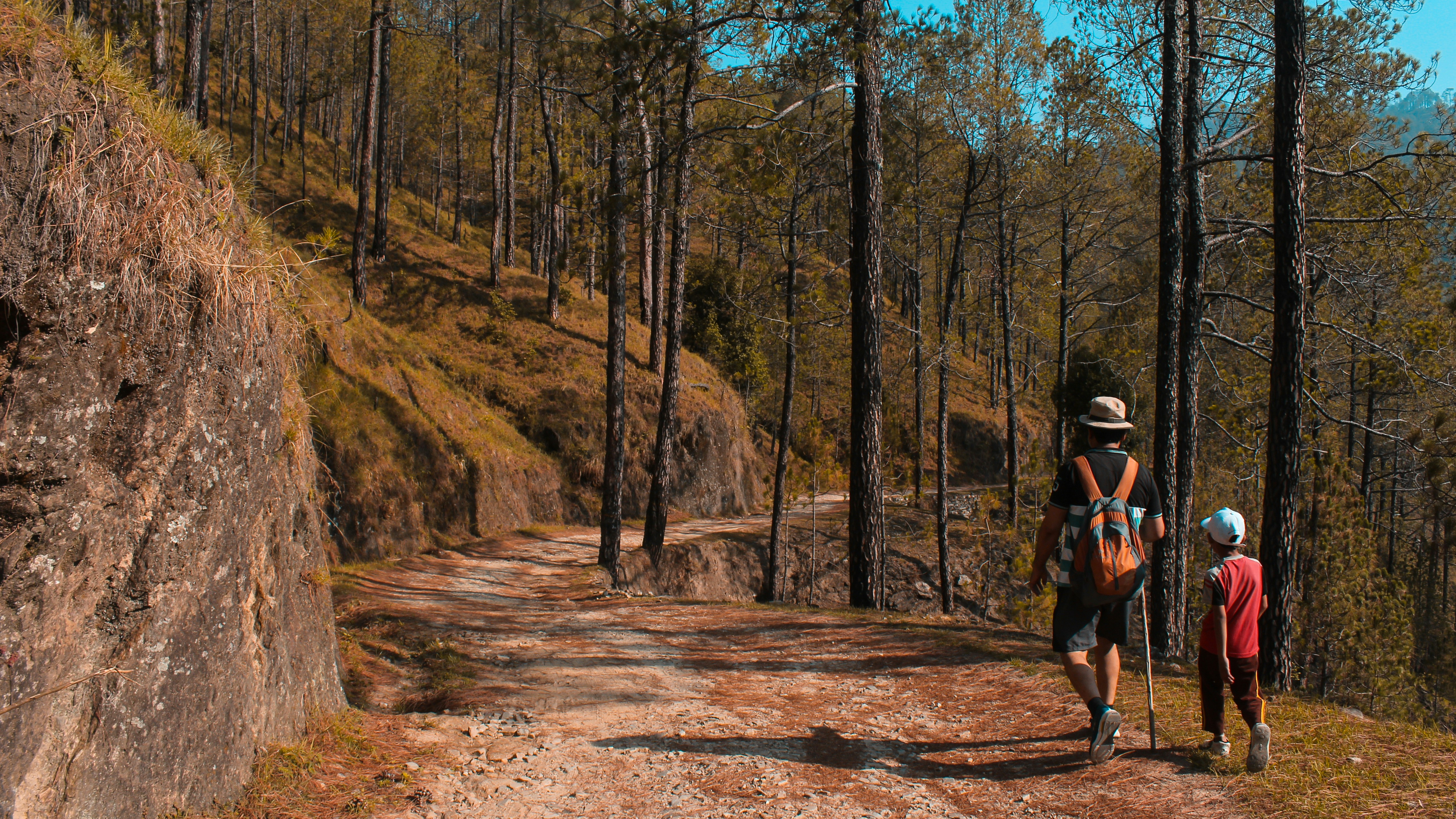 Digital Nomad Guide to Serilingampalle, India (2026)