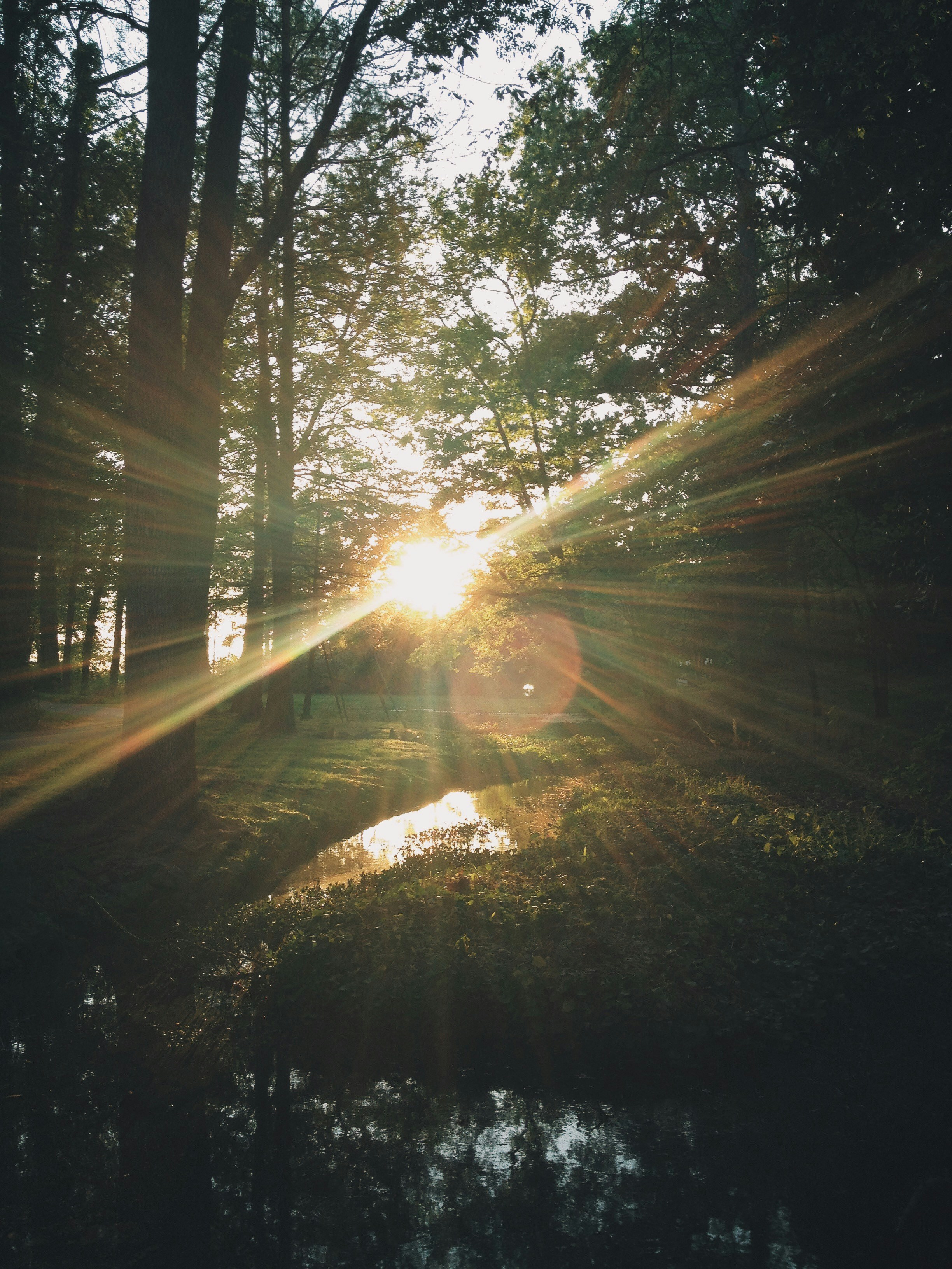 Photo by therealjj26