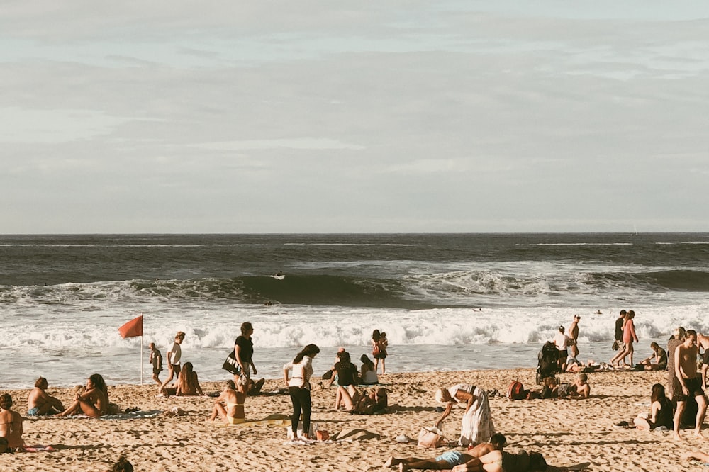 people near seashore viewing calm sea during daytime