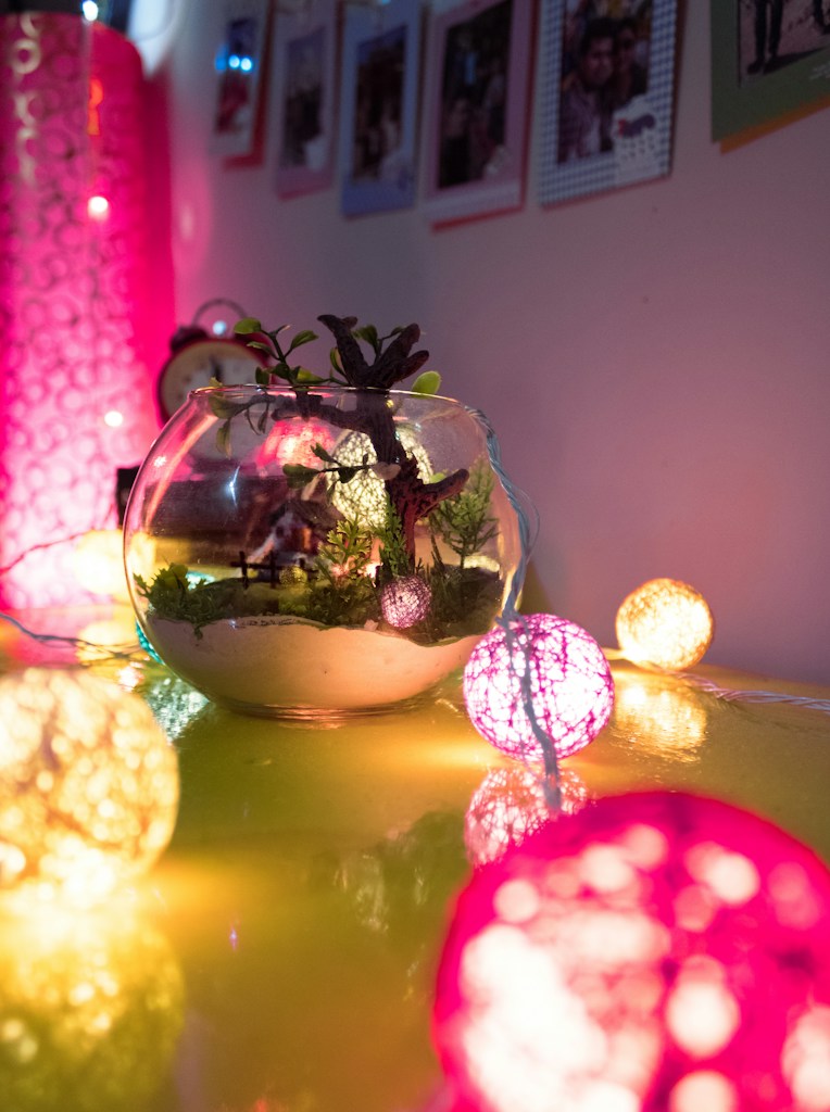 Desk Garden Terrarium