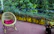 Sunlit balcony with rattan chairs, lush plants, and colorful bohemian cushions.