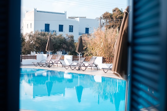 blue swimming pool near brown-leafed plant in Naxos Greece