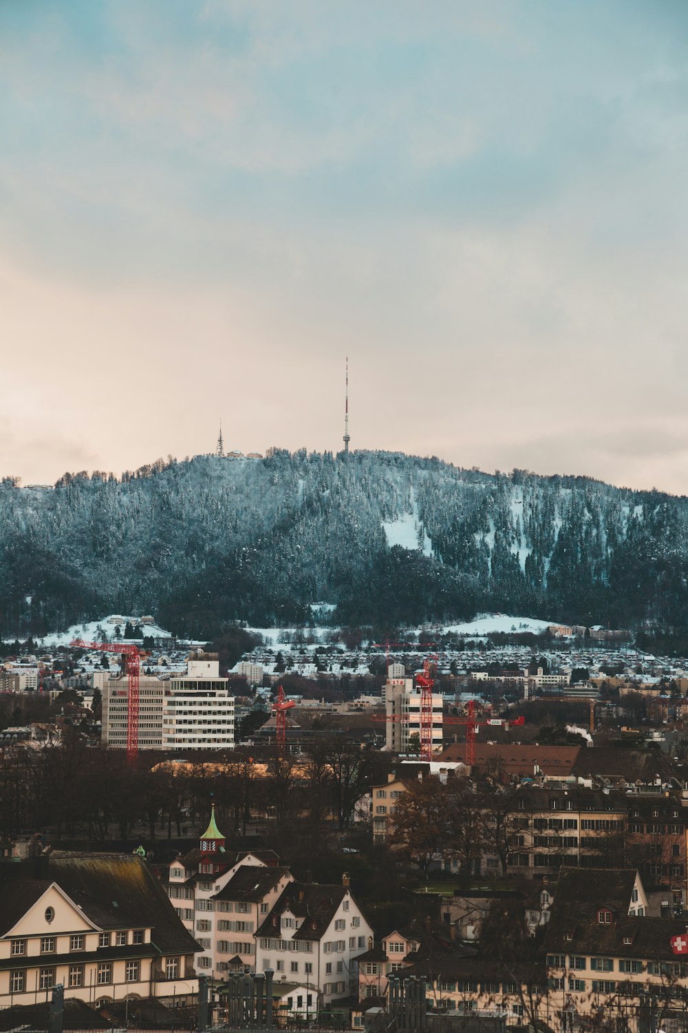 buildings near trees at daytime