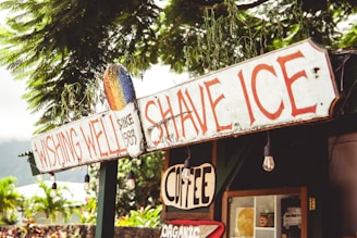 A rustic outdoor sign advertising 'Wishing Well Shave Ice' is prominently displayed. The sign is weathered, showing the establishment has been around since 1983. Large light bulbs hang from the structure, enhancing the quaint atmosphere. Below, another sign indicates 'Coffee' and 'Organic,' emphasizing natural offerings. The scene is set against a backdrop of lush greenery, with leafy branches partially shading the sign.