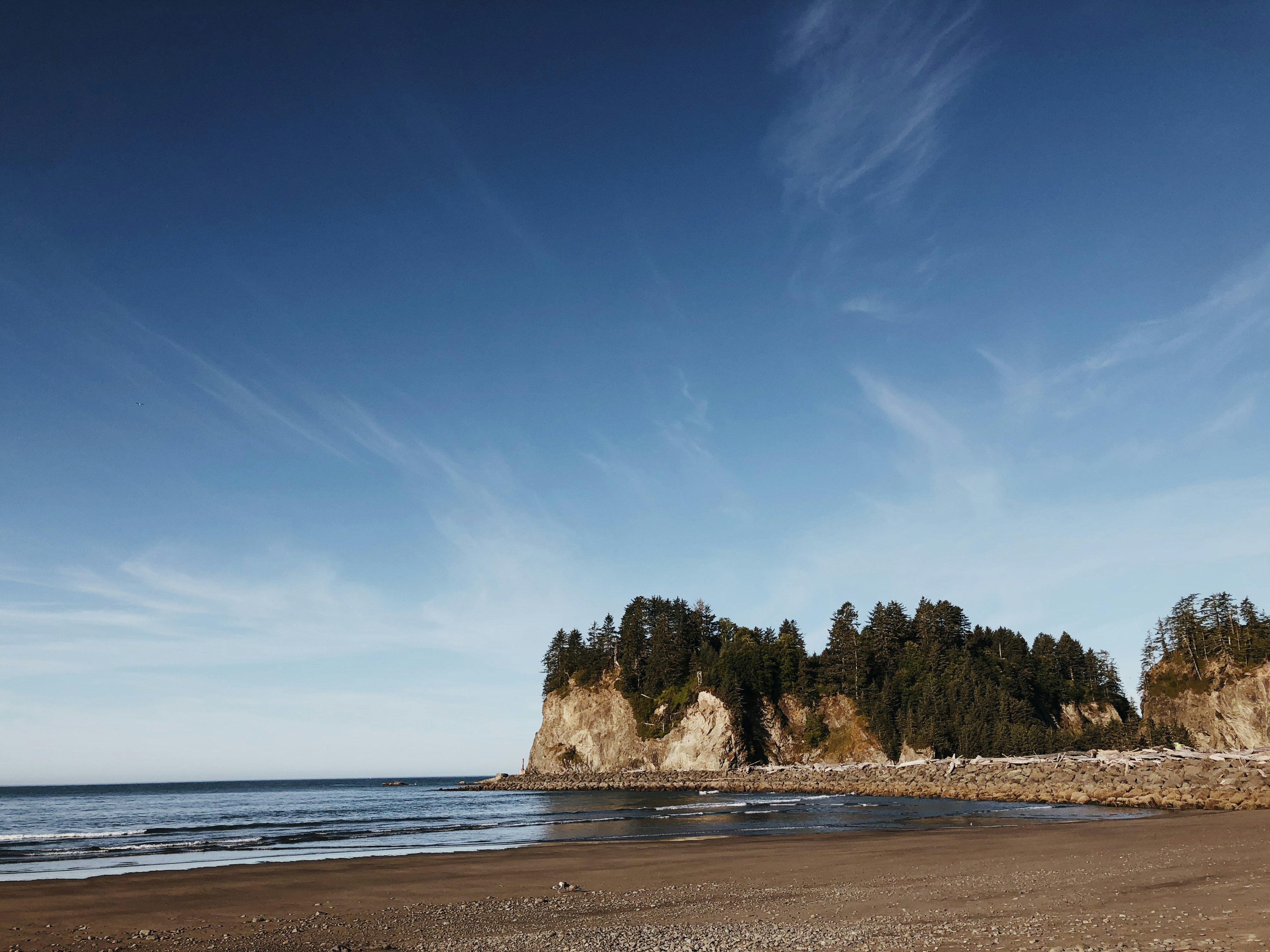 Photo by torinholmes