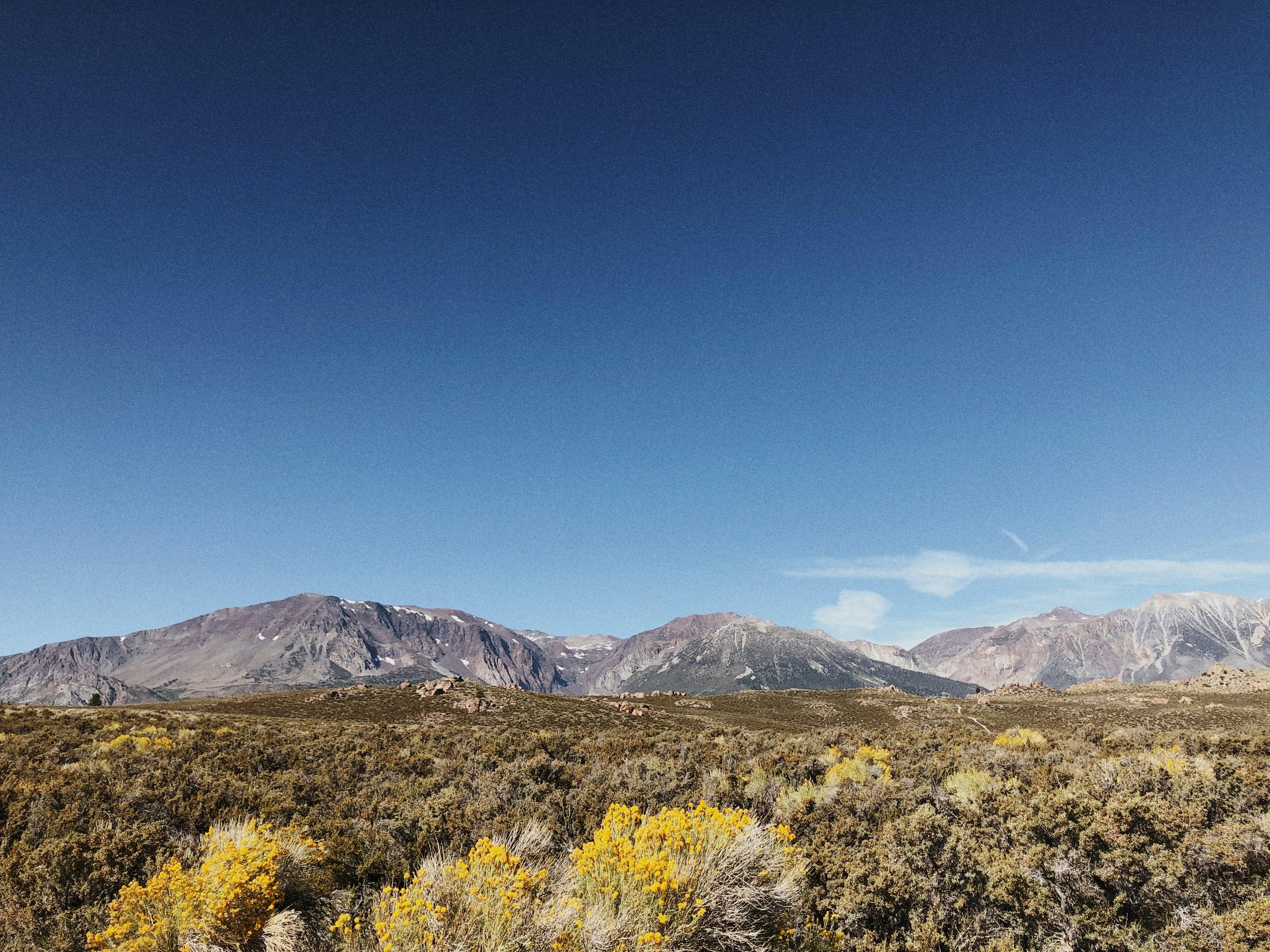 Photo by torinholmes