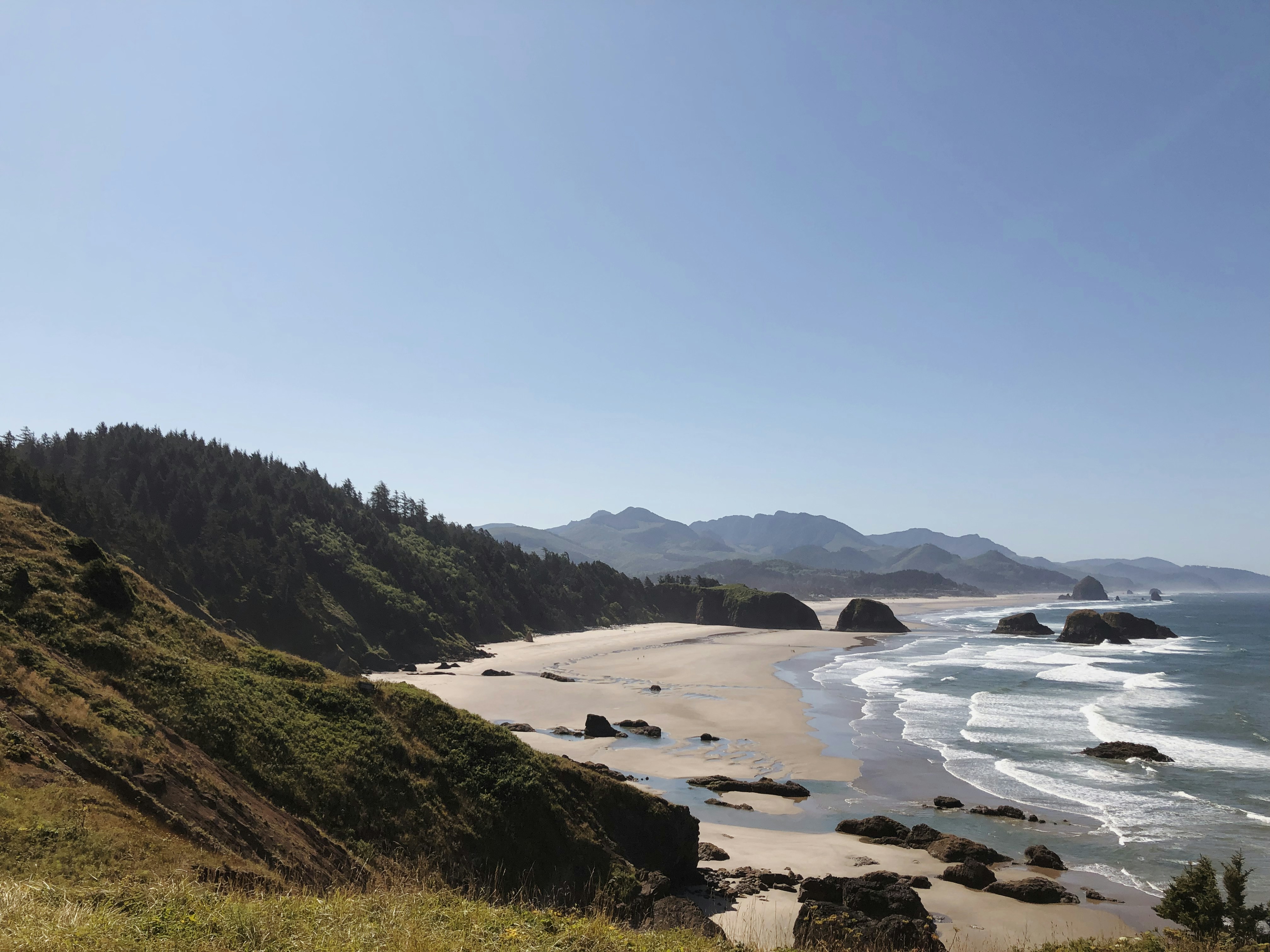 Photo by torinholmes