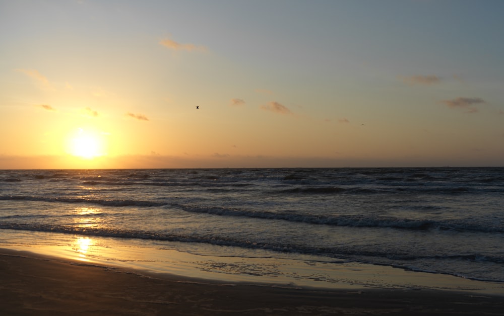 ocean during sunrise