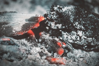 a close up of a piece of food on a table