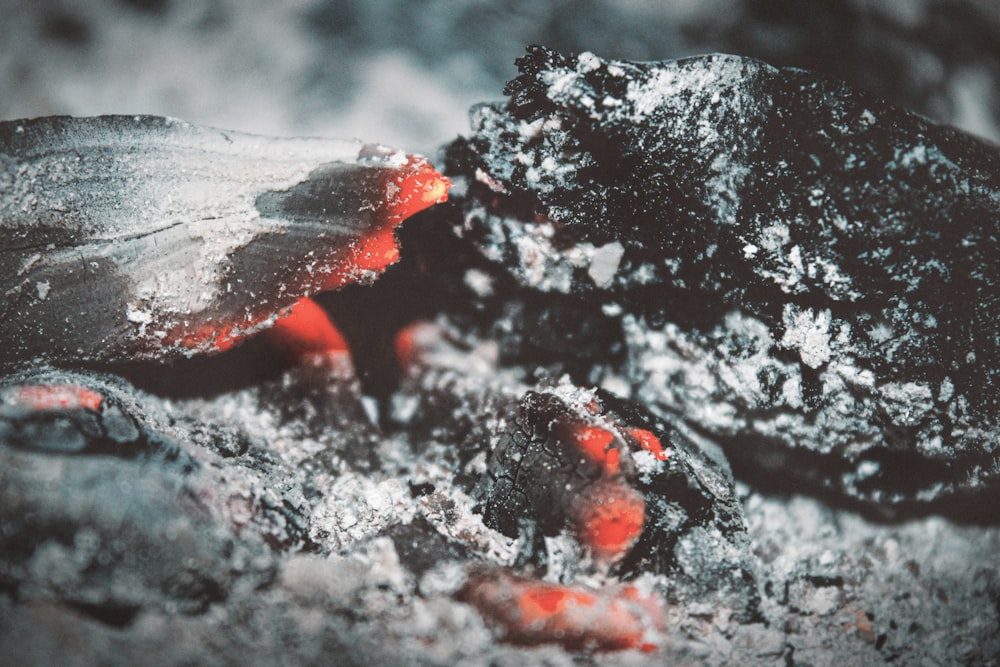 a close up of a piece of food on a table