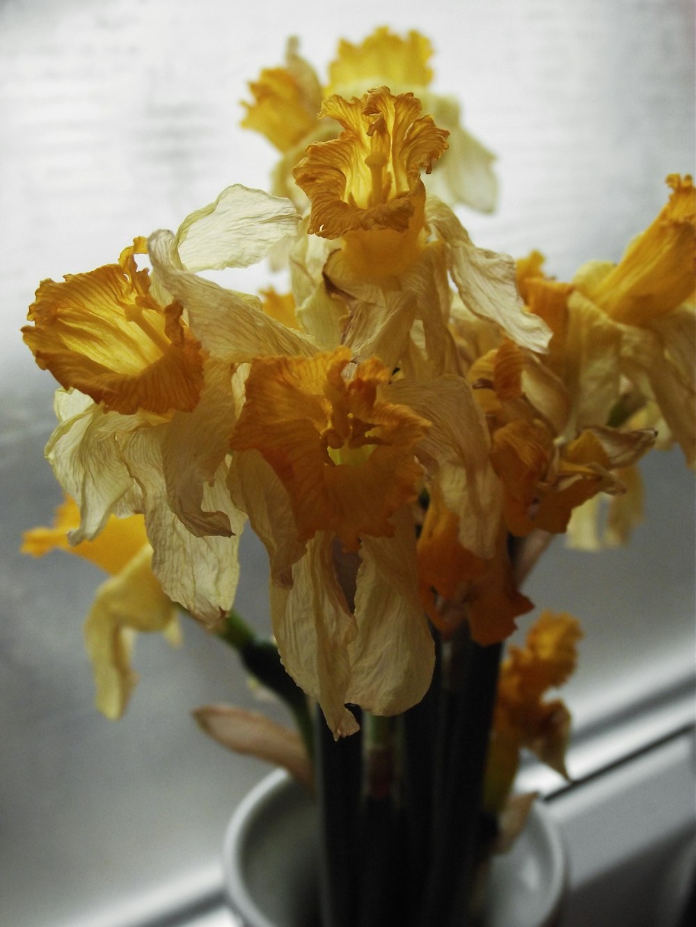 yellow flowers in vase