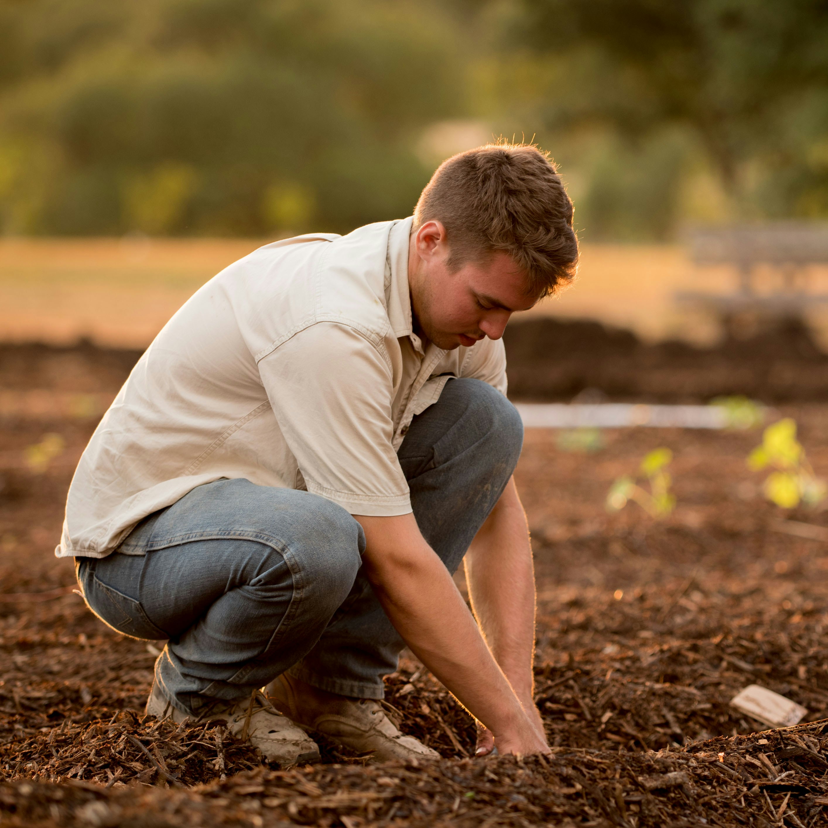 man in white shirt planting at daytime