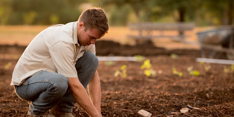 man in white shirt planting at daytime