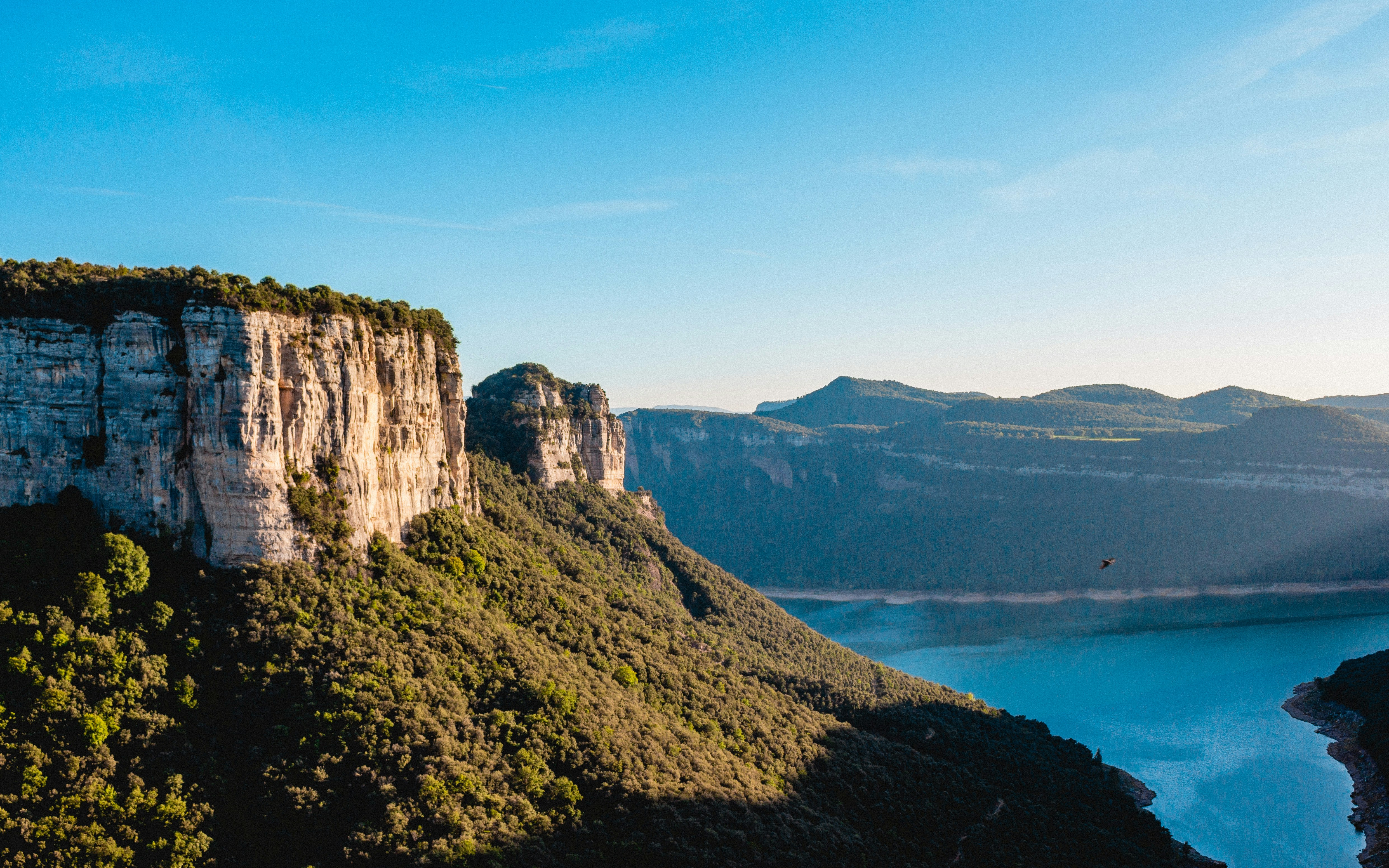 green tress on moutnain