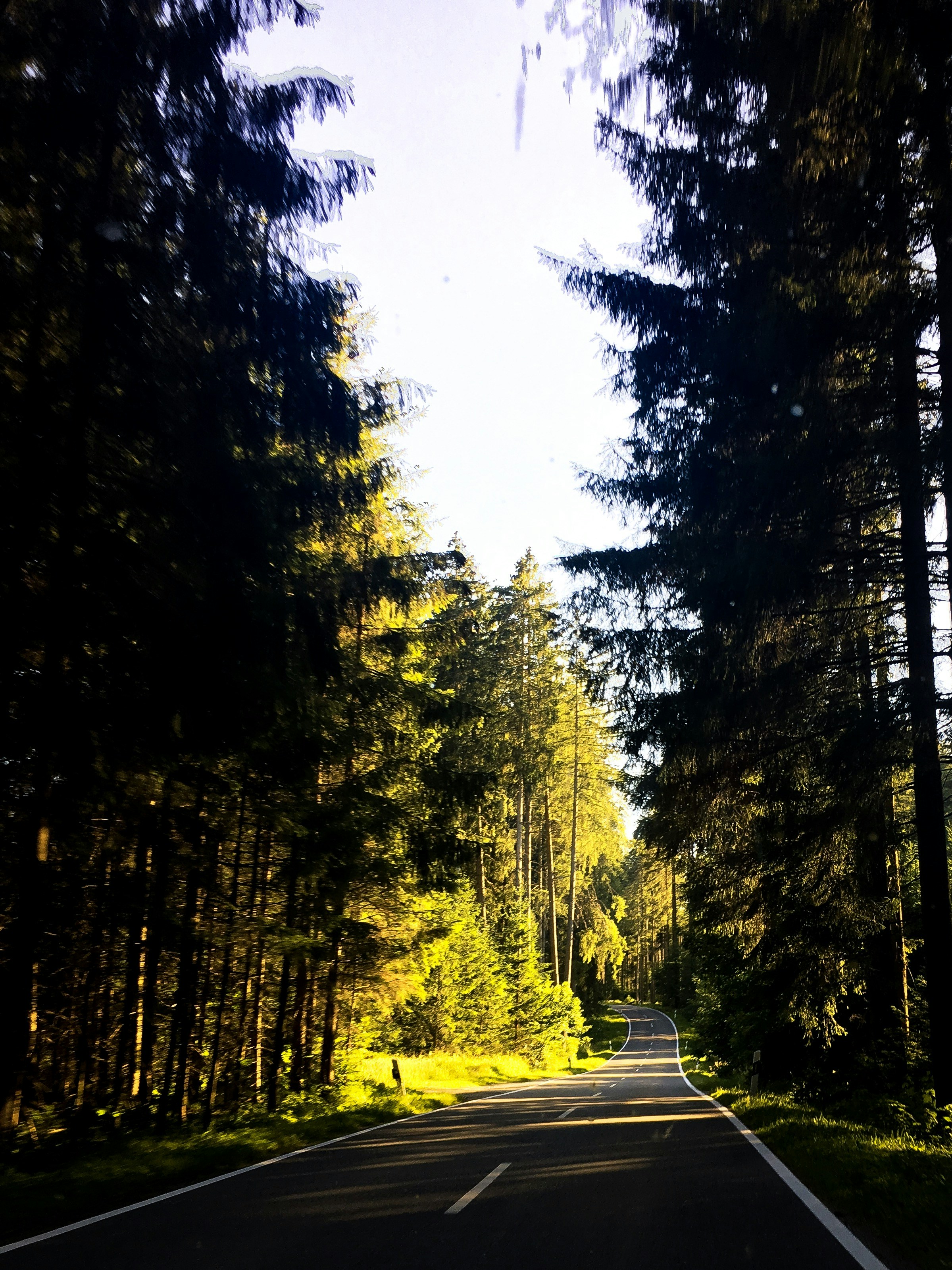 Photo by mustph