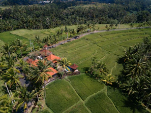 Wide shot of PT Agung Harada Agro factory building with surrounding tropical landscape in Bali