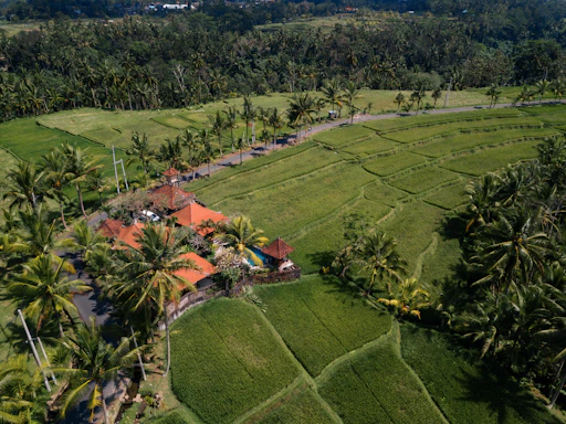 Front view of PT Agung Harada Agro factory in Gilimanuk, Bali with lush greenery surrounding the building.