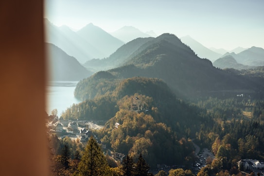 A misty, mountainous landscape with a lush green forest. In the middle distance, there is a picturesque castle nestled among the trees. The background reveals a range of mountains with soft light filtering through the haze, casting a serene and tranquil atmosphere.