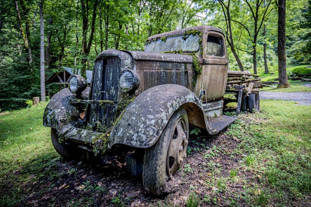 vintage parked single-door pickup truck near trees