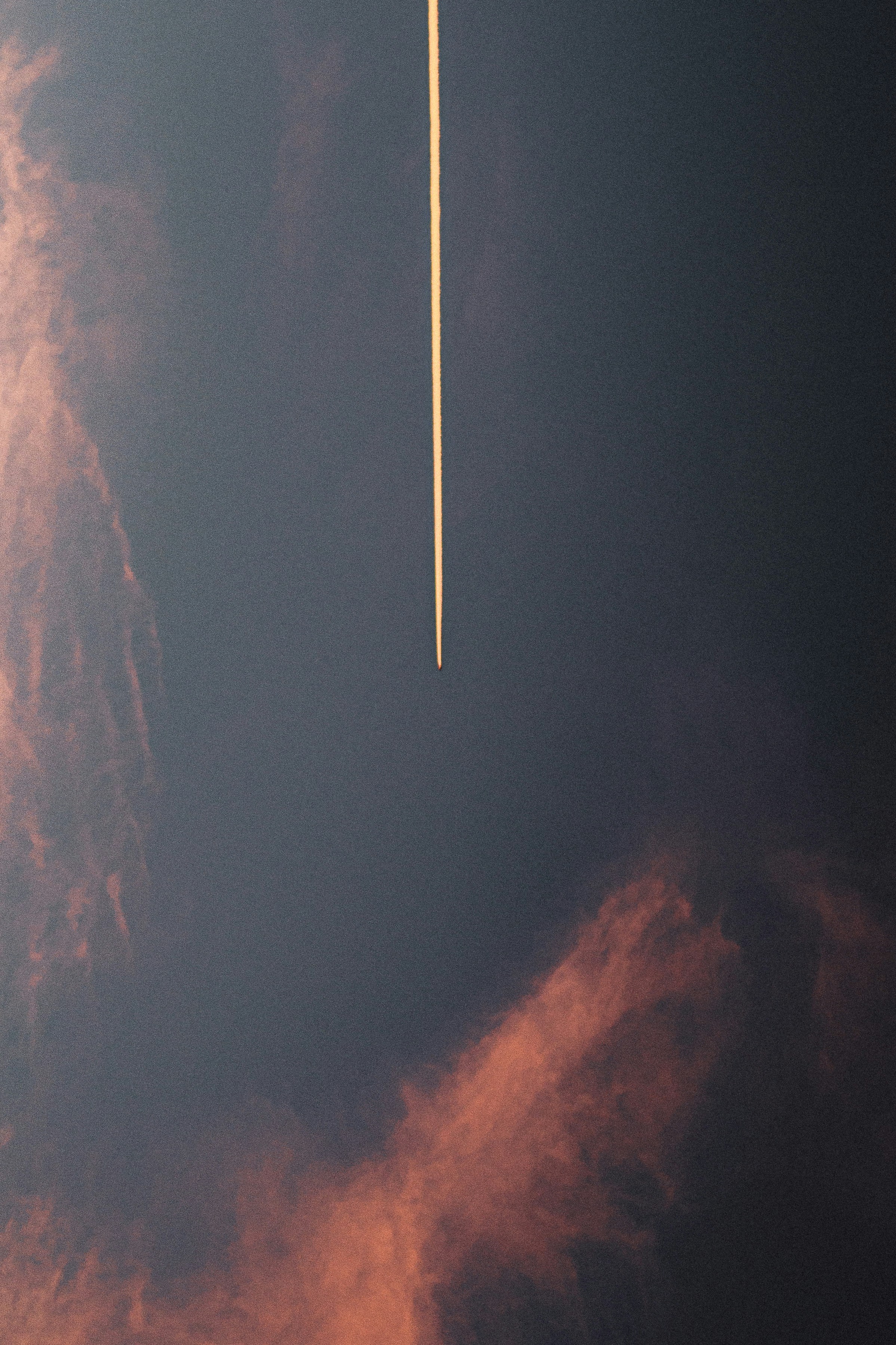 飛行機が空高く飛んでいる