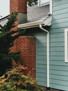 A section of a house with light blue wooden siding and a gray shingle roof. A red brick chimney is partially visible, surrounded by lush green bushes. A white gutter runs down the side of the house.