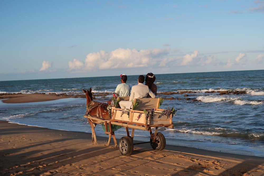 three persons riding horse carriage on seashore during day