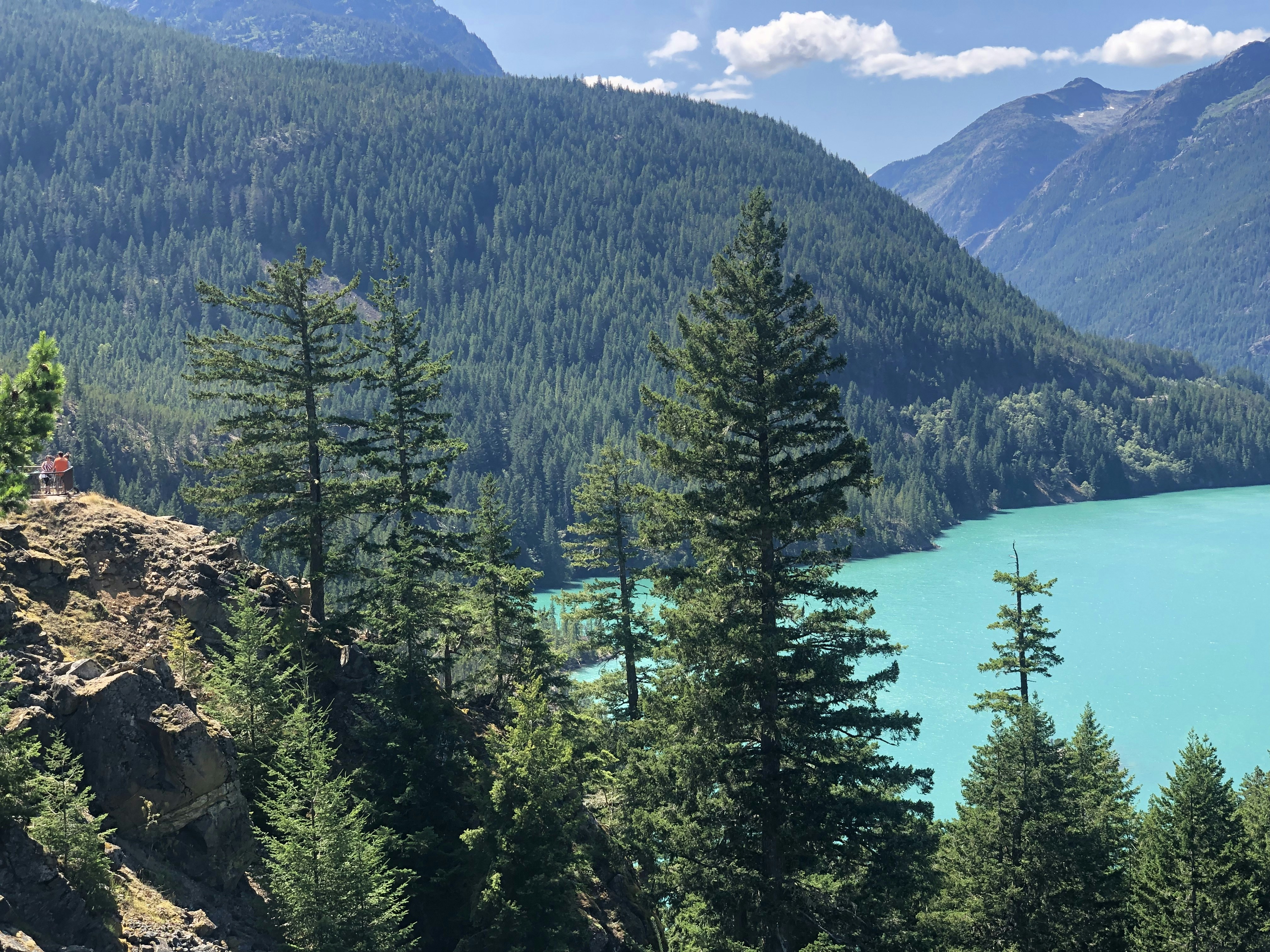 Photo by brewingcats