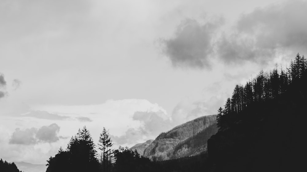 mountain with trees in grayscale photography
