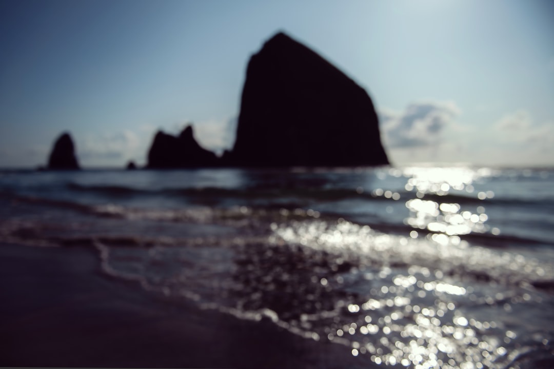 wavy seashore during daytime,