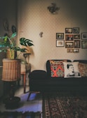 A cozy living room with a dark sofa adorned with decorative pillows, one featuring a monochrome portrait design. The room has a warm ambiance with various decorations on the wall, including framed photographs and art pieces. A patterned area rug covers part of the floor, and there's a wicker basket-style lamp near a potted plant with large green leaves. A small, classic wooden table supports the lamp.