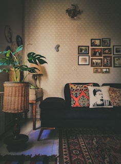 A cozy living room with a modern sofa and decorative pillows.