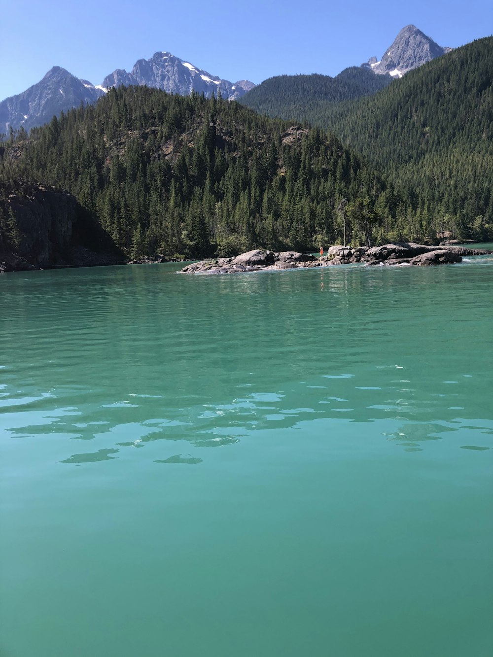 calm body of water near forest during daytime