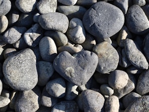 An arrangement of smooth, rounded stones in various sizes. One stone is distinctly shaped like a heart, drawing attention amidst the otherwise irregular shapes of the stones. The lighting accentuates the textures and subtle color variations on the stones.