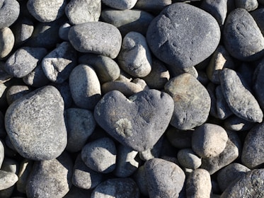 An arrangement of smooth, rounded stones in various sizes. One stone is distinctly shaped like a heart, drawing attention amidst the otherwise irregular shapes of the stones. The lighting accentuates the textures and subtle color variations on the stones.