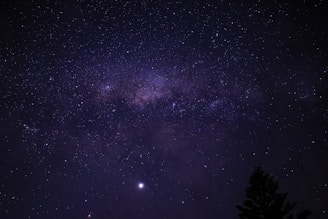 a night sky filled with stars and a tree