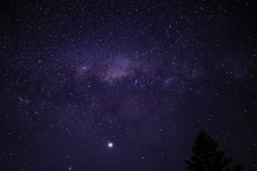 a night sky filled with stars and a tree