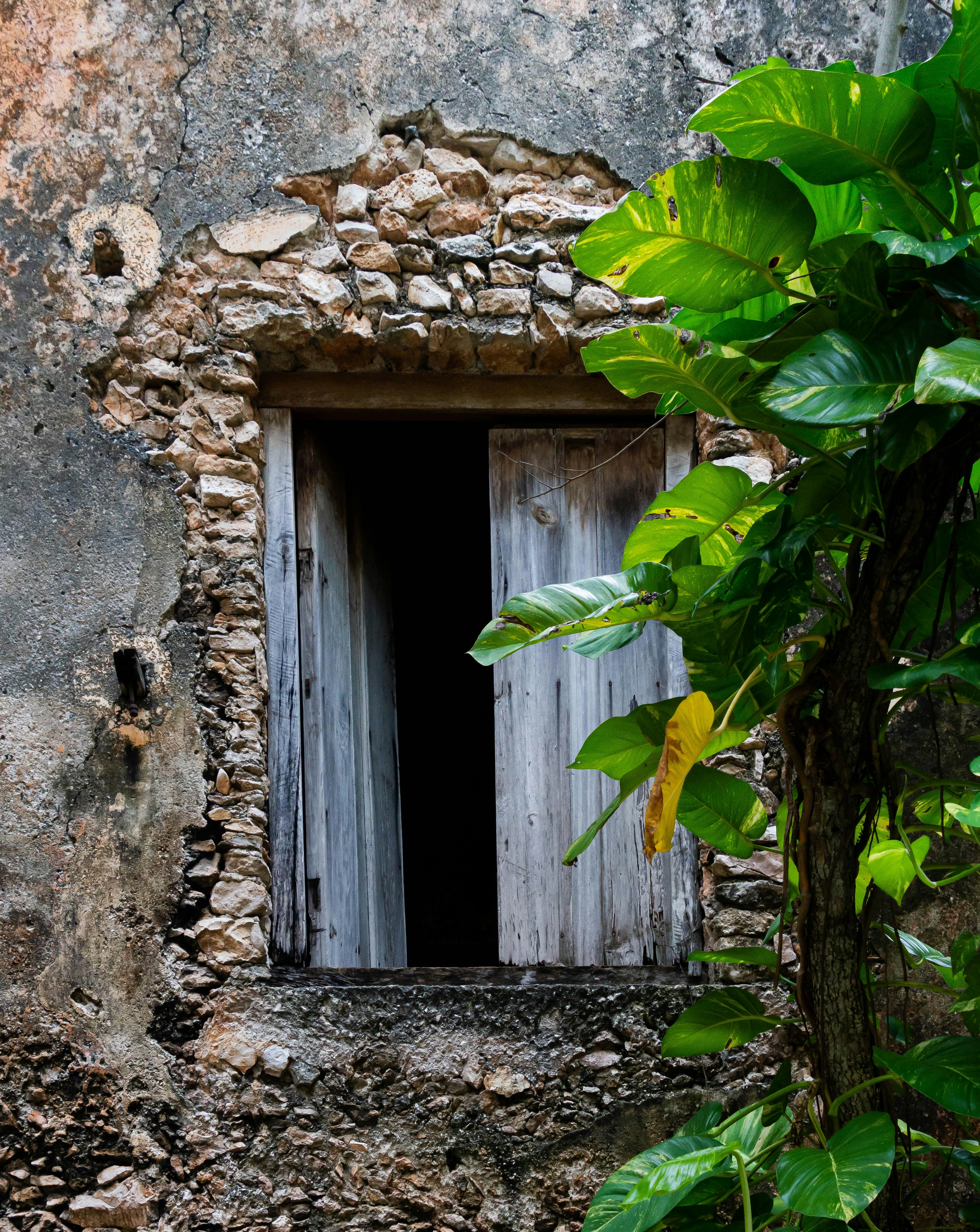 Photo by sergiogonzalez2024