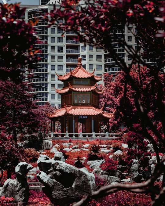 black temple in Chinese Garden of Friendship Australia