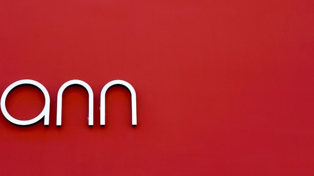 A minimalistic design displays the letters 'ann' in a sleek, modern font against a deep red background.