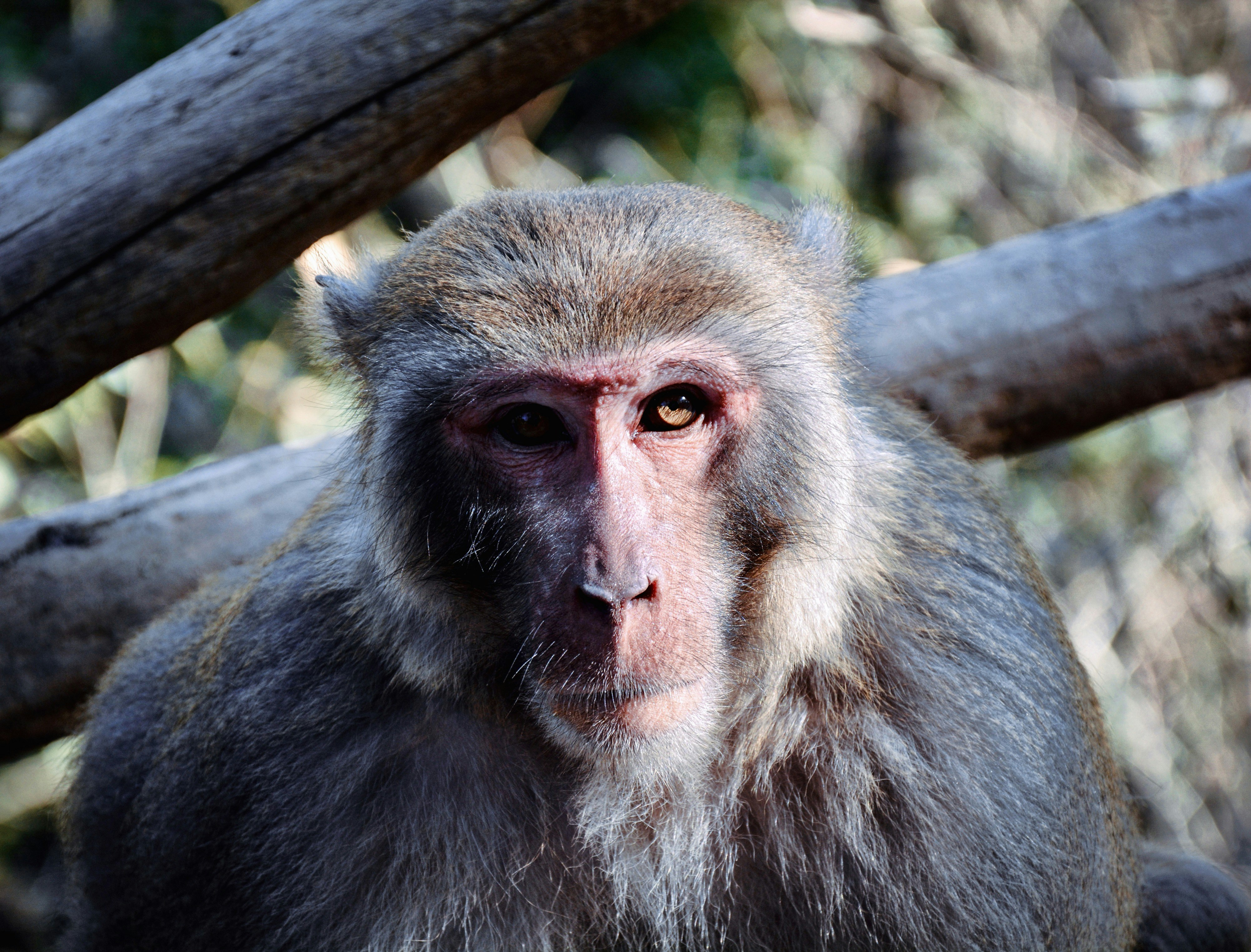 Photo by mw960367054