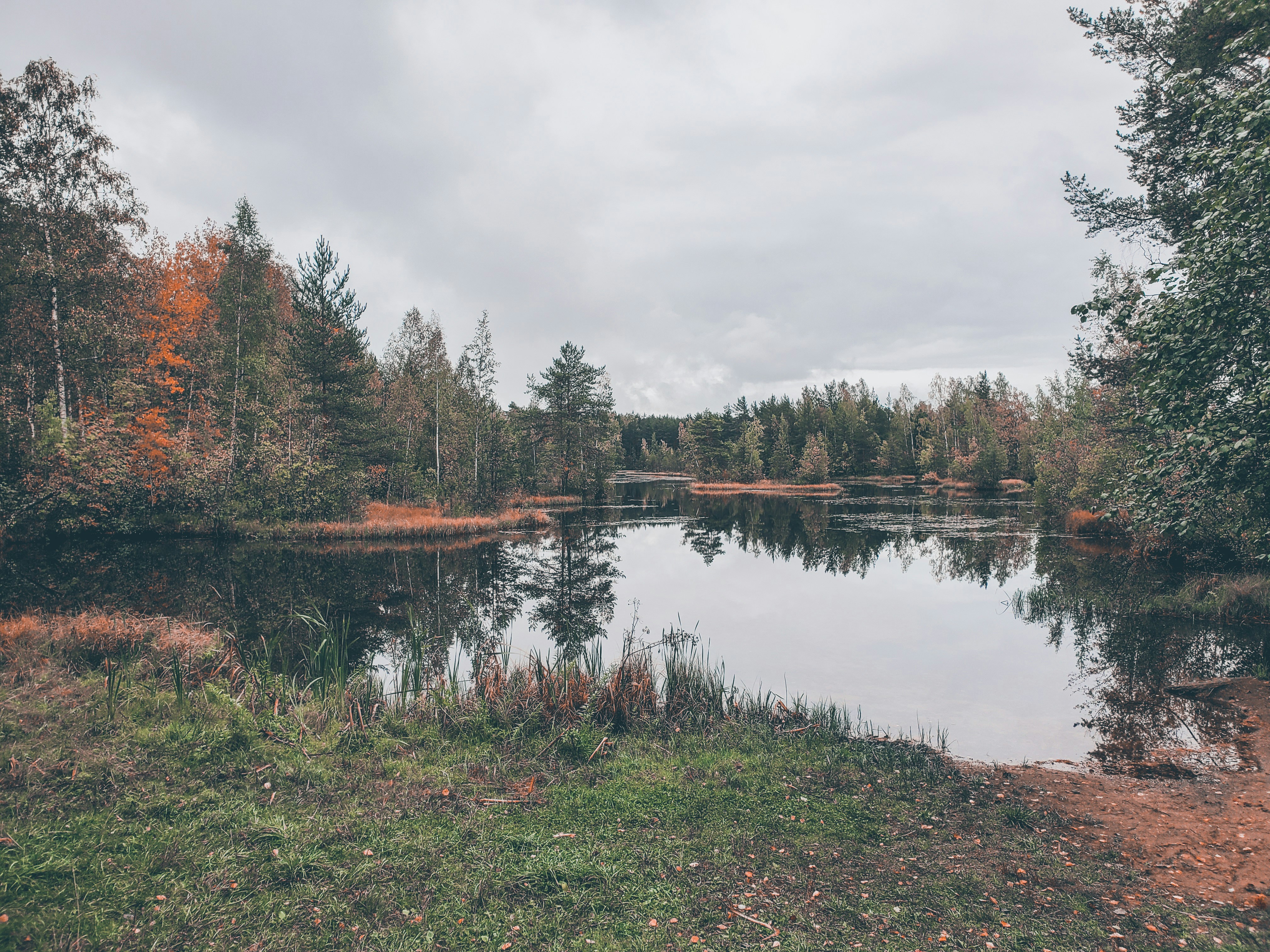 Photo by thunder4fox