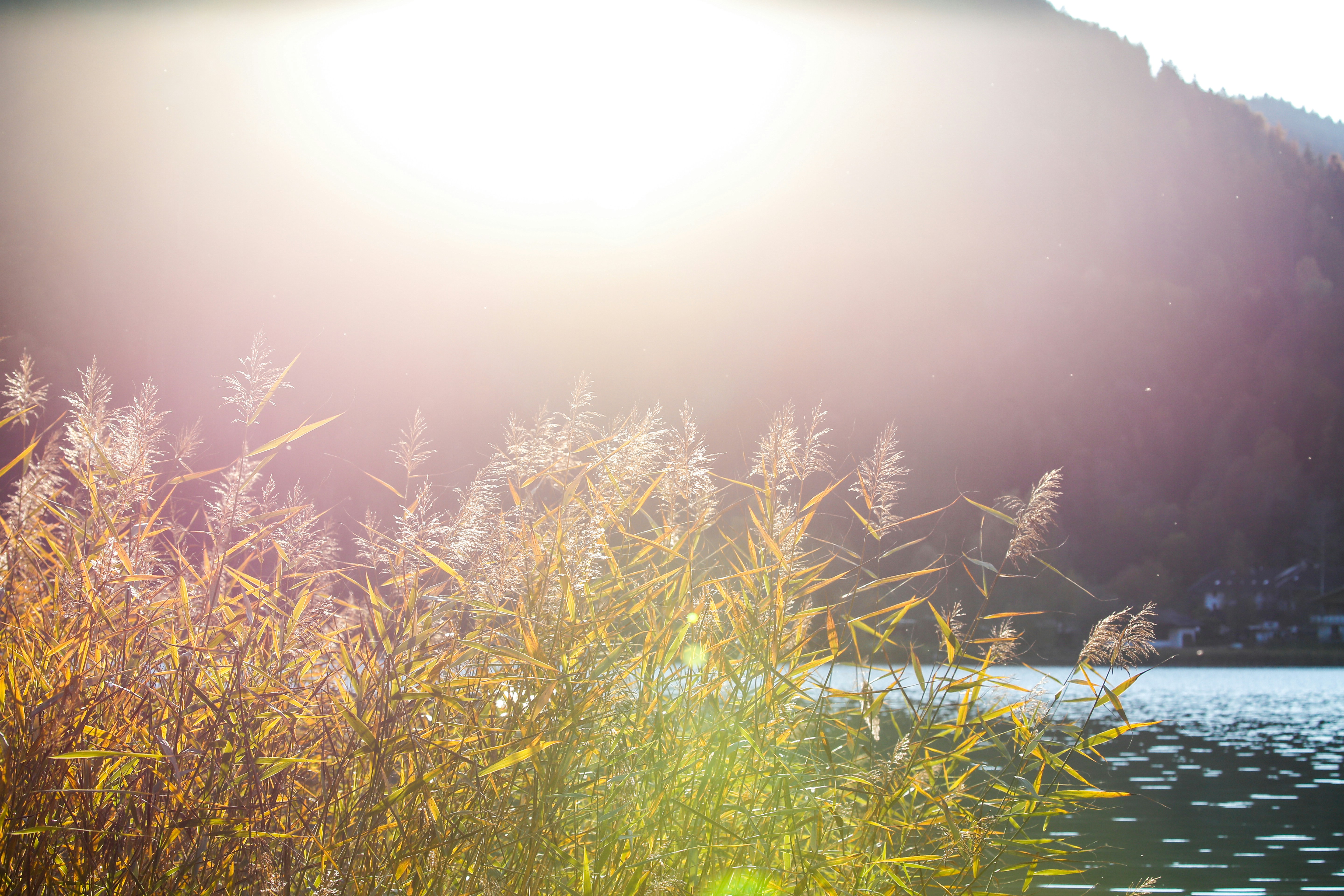 MARBLEX header image