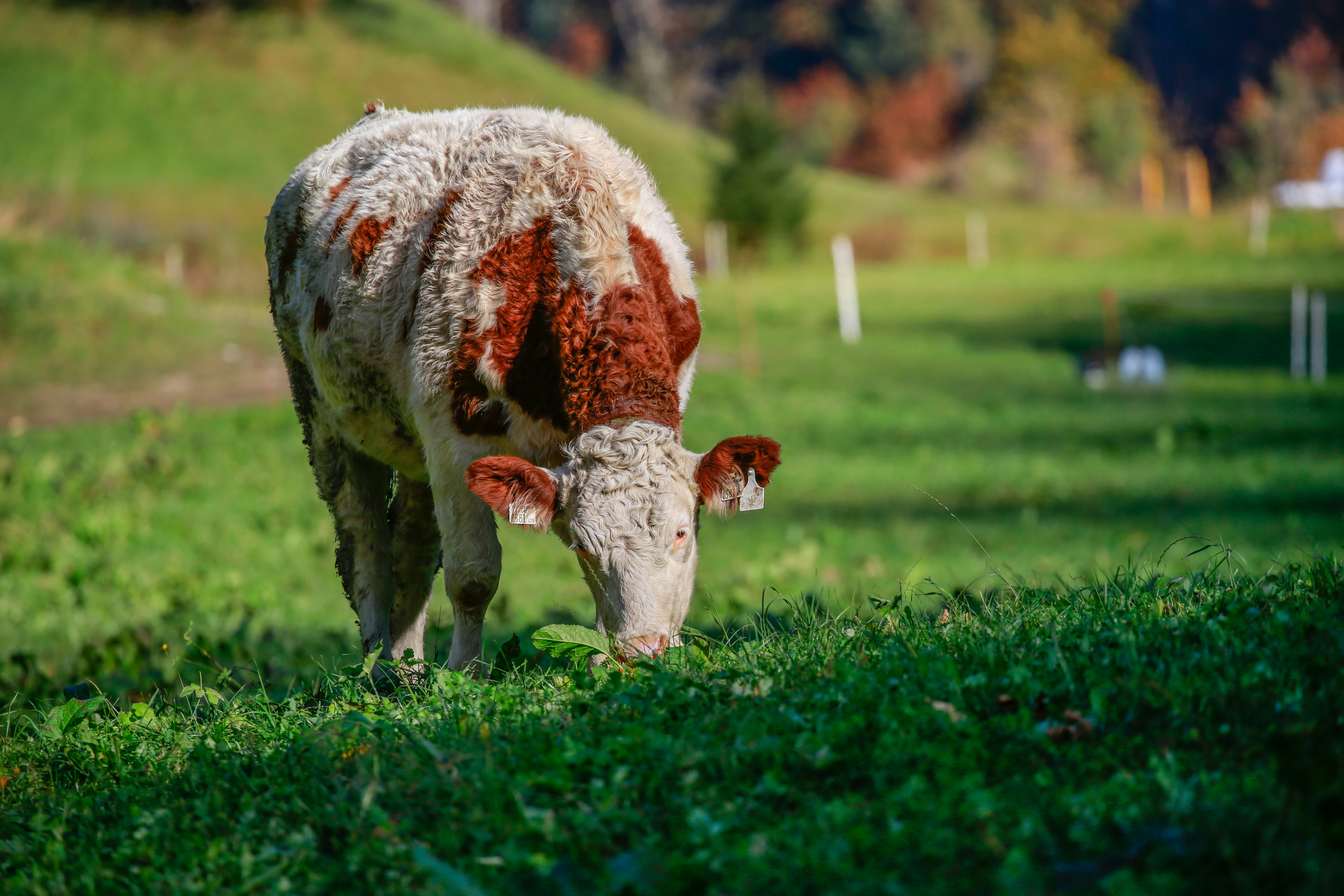 Photo by alightproduction_by_sabrinawendl