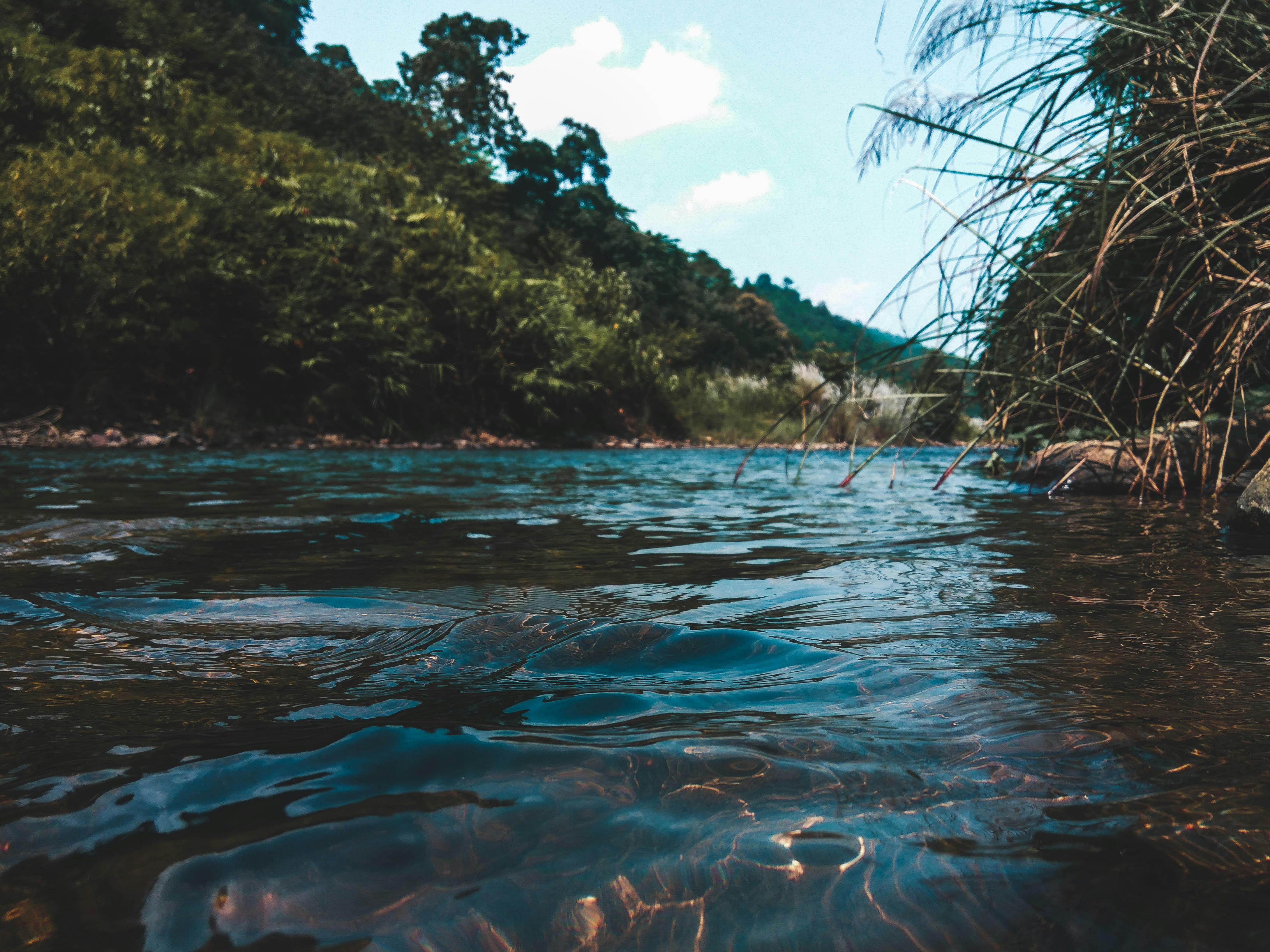 Photo by brainysarang