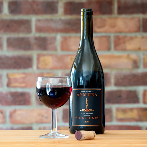 Wine Experience Logo