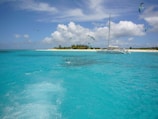 A picturesque scene featuring a catamaran sailing on crystal-clear turquoise waters, surrounded by a flock of seagulls. In the background, there is a white sandy beach lined with lush green palm trees under a sky dotted with fluffy white clouds. The water's surface shows gentle waves, adding to the tranquil and serene atmosphere.