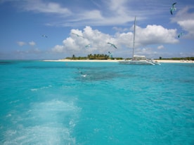 A picturesque scene featuring a catamaran sailing on crystal-clear turquoise waters, surrounded by a flock of seagulls. In the background, there is a white sandy beach lined with lush green palm trees under a sky dotted with fluffy white clouds. The water's surface shows gentle waves, adding to the tranquil and serene atmosphere.