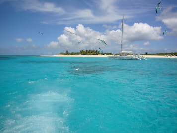 A picturesque scene featuring a catamaran sailing on crystal-clear turquoise waters, surrounded by a flock of seagulls. In the background, there is a white sandy beach lined with lush green palm trees under a sky dotted with fluffy white clouds. The water's surface shows gentle waves, adding to the tranquil and serene atmosphere.