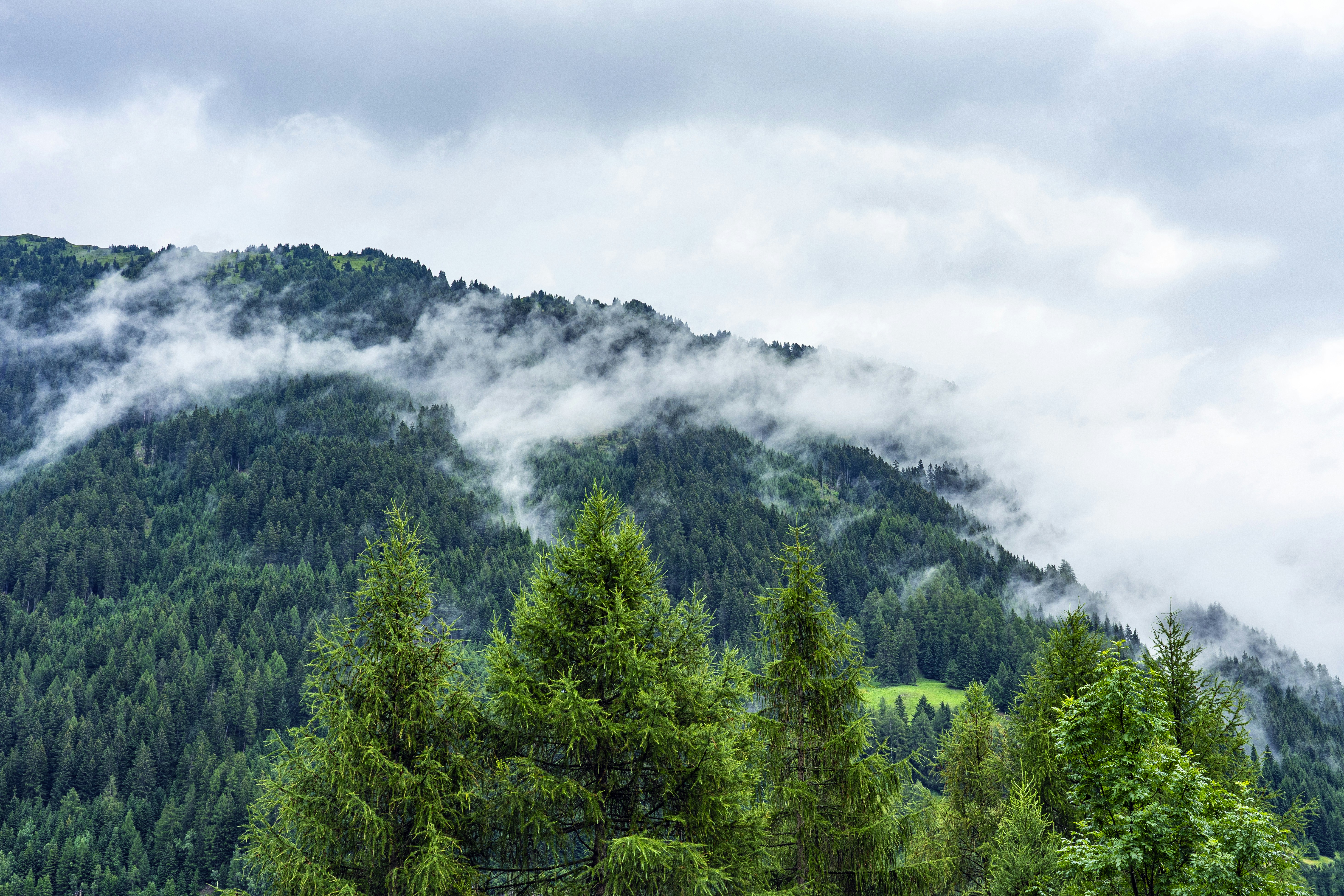 Photo by nilsschirmer